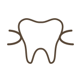 入れ歯治療のアイコン